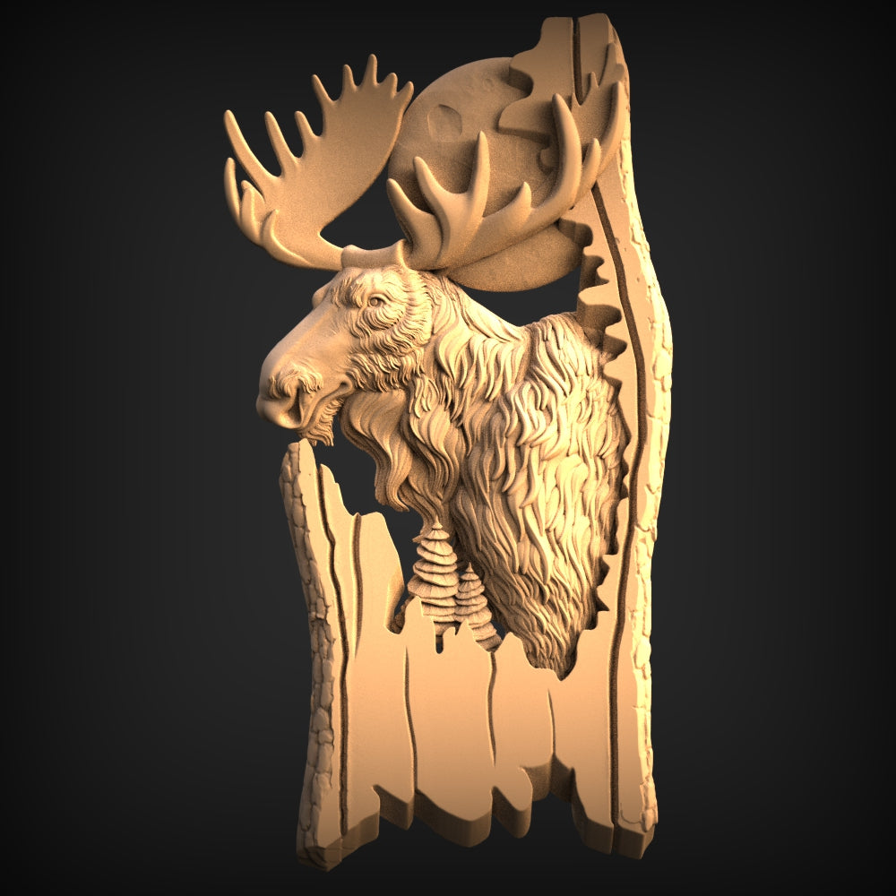 PANNO AND BAS EDITION 8